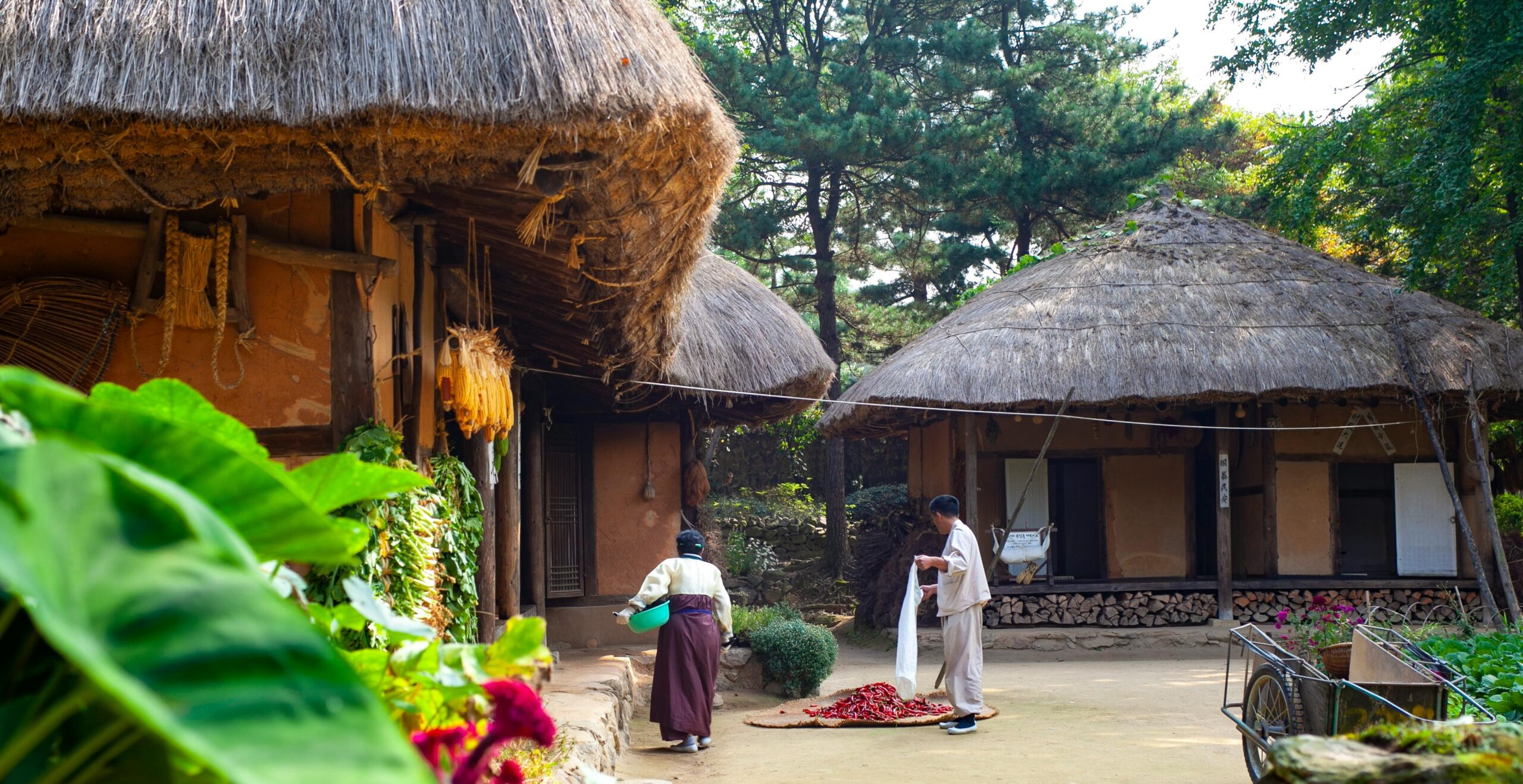 My First Herbal Steam Hut in Chiang Mai