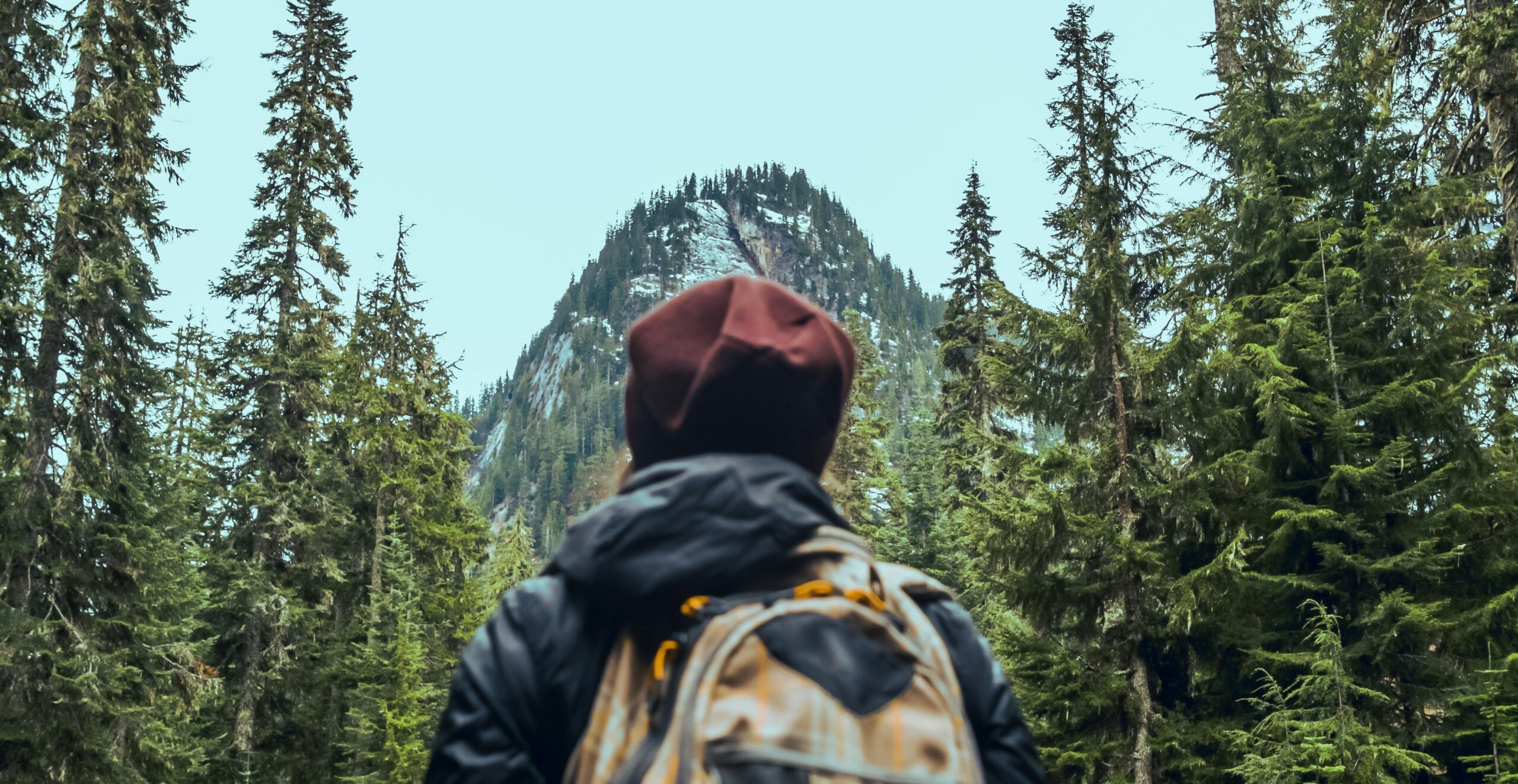 Top 3 Free Hiking Trails Near Major Cities