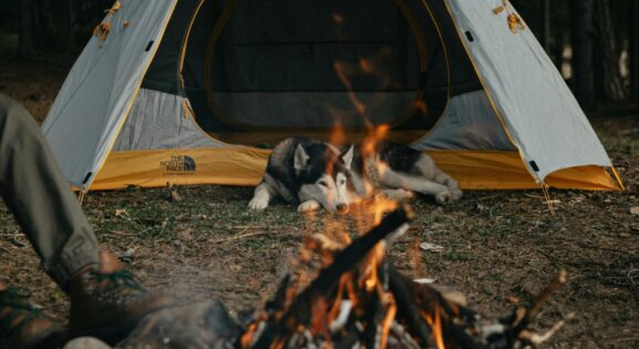 How to Plan a Camping Trip for Under $100