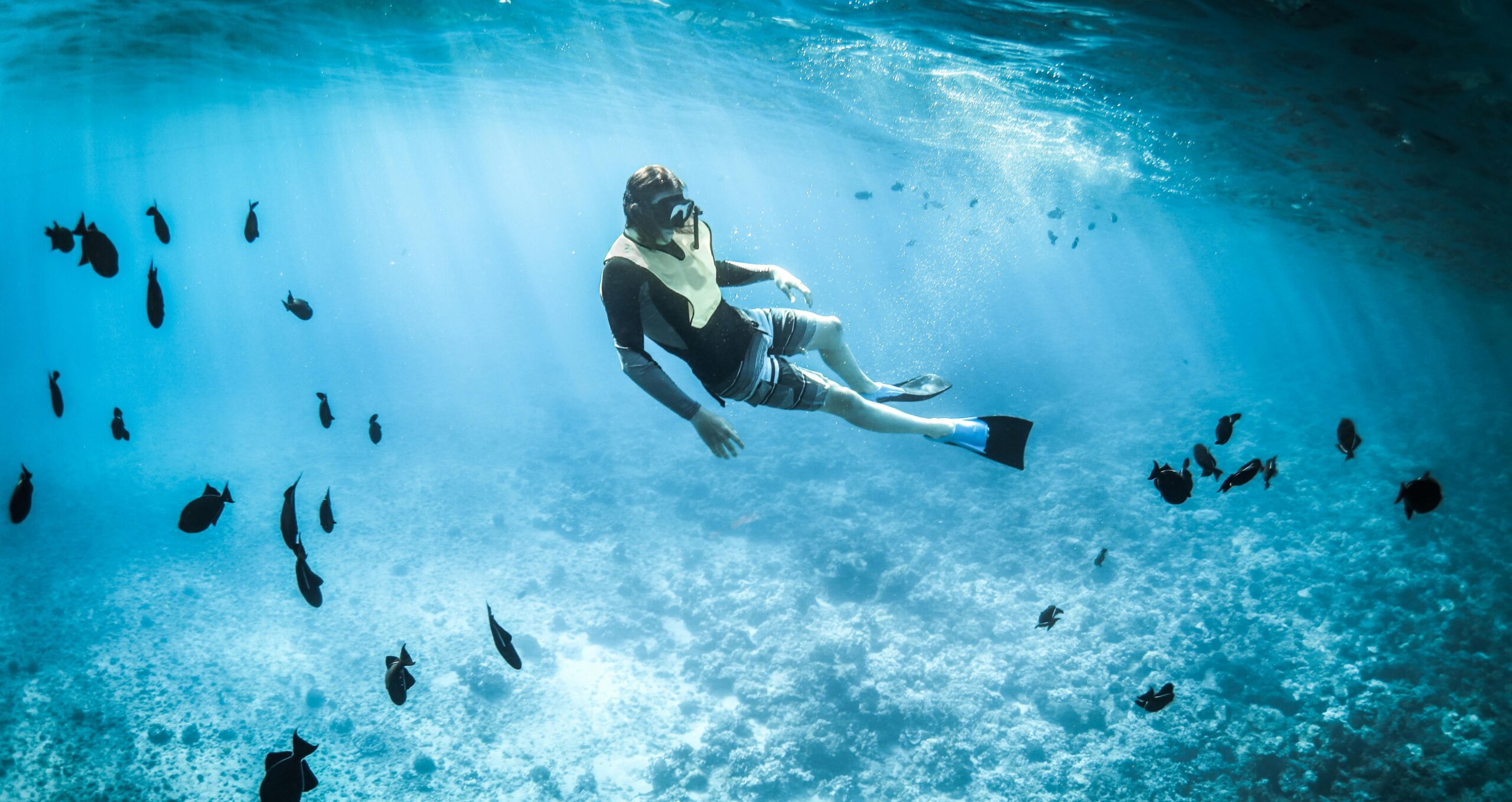 Affordable Snorkeling Spots You Can Reach from Shore