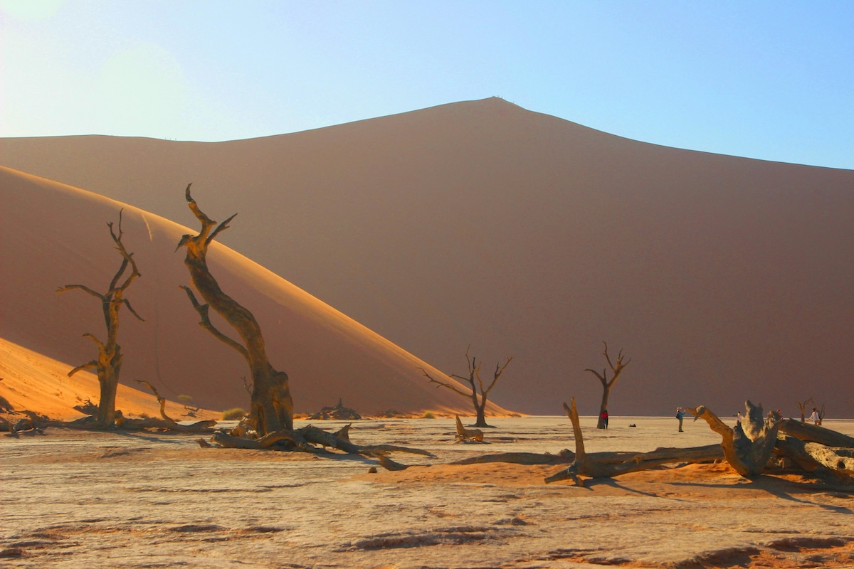Discover Sossusvlei and Deadvlei